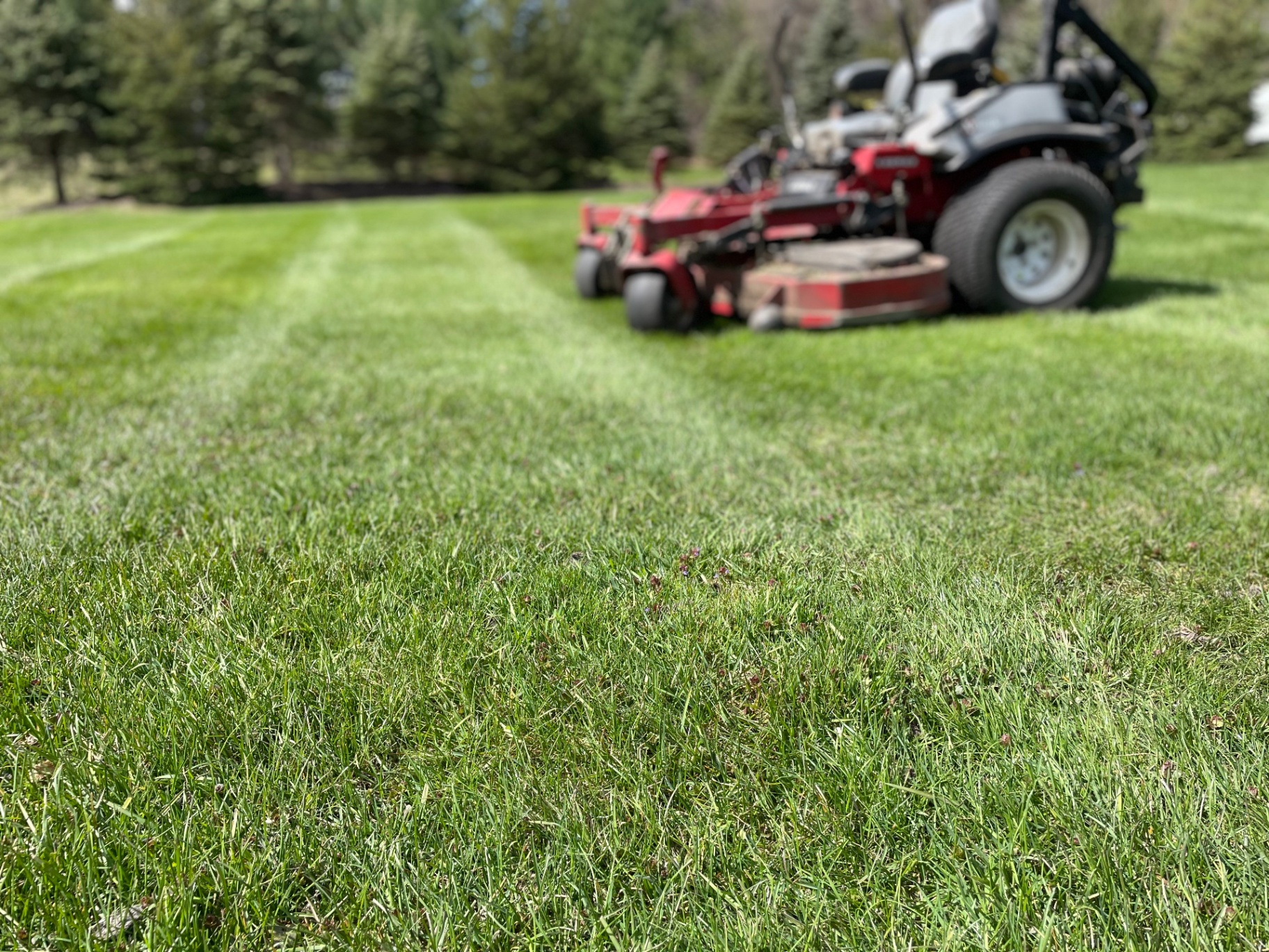 Liberty Lawn & Snow mowing in the West Metro