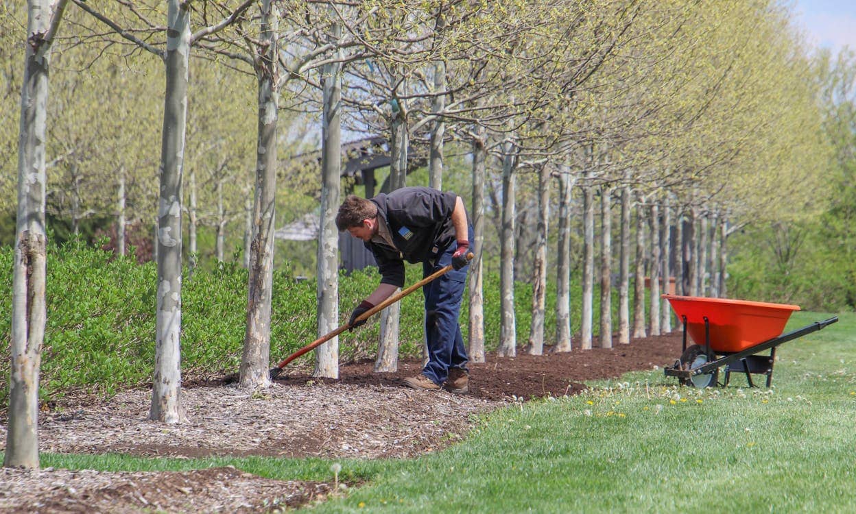 Liberty Lawn & Snow mulch in the West Metro