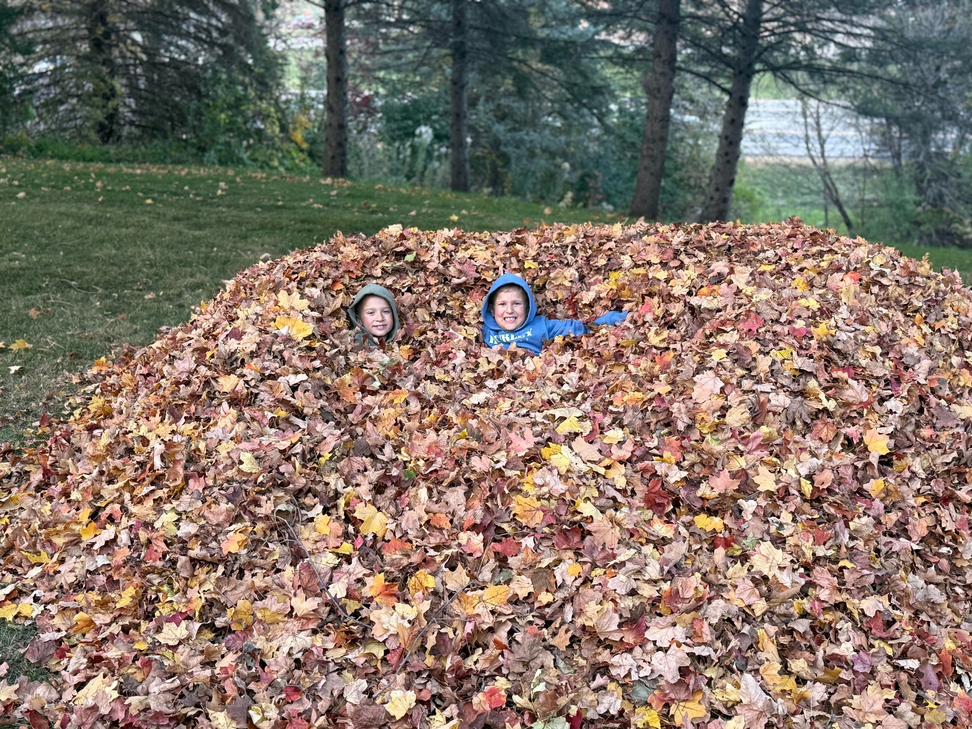 Spring Cleanup - Buffalo - Liberty Lawn & Snow cleanups project