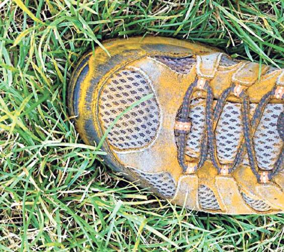 Rust spores on a shoe after walking through an infected lawn