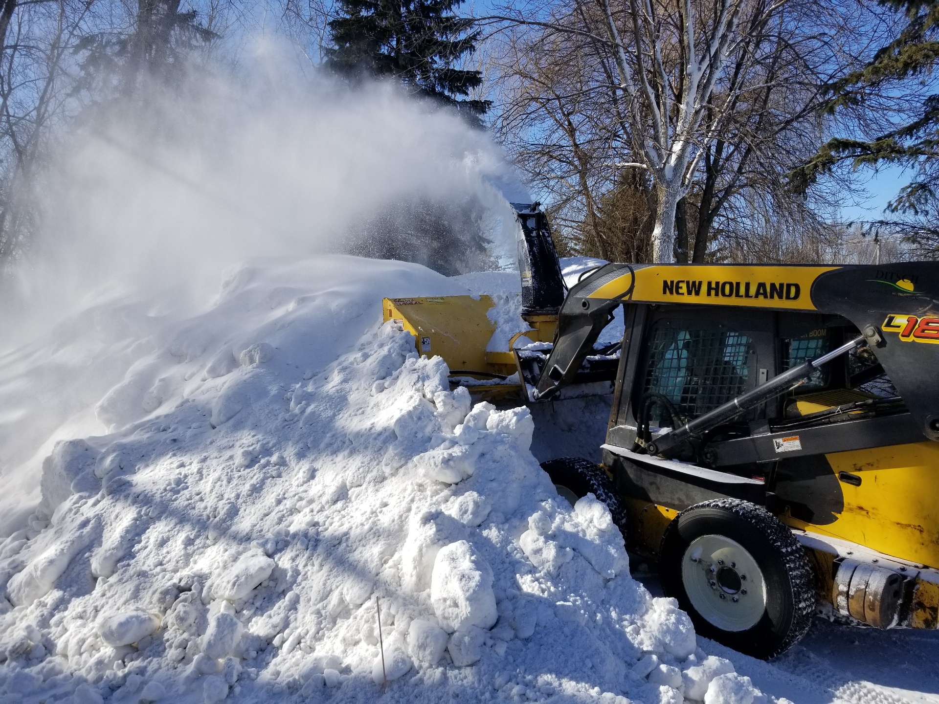 Seasonal Splendor: Unveiling Our Dual-Focus Rebrand for Lawncare and Snow Removal