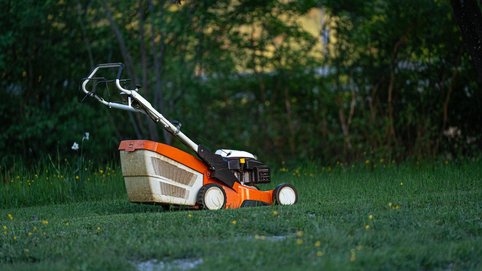 The Best Mowing Height for Minnesota Lawns in Summer