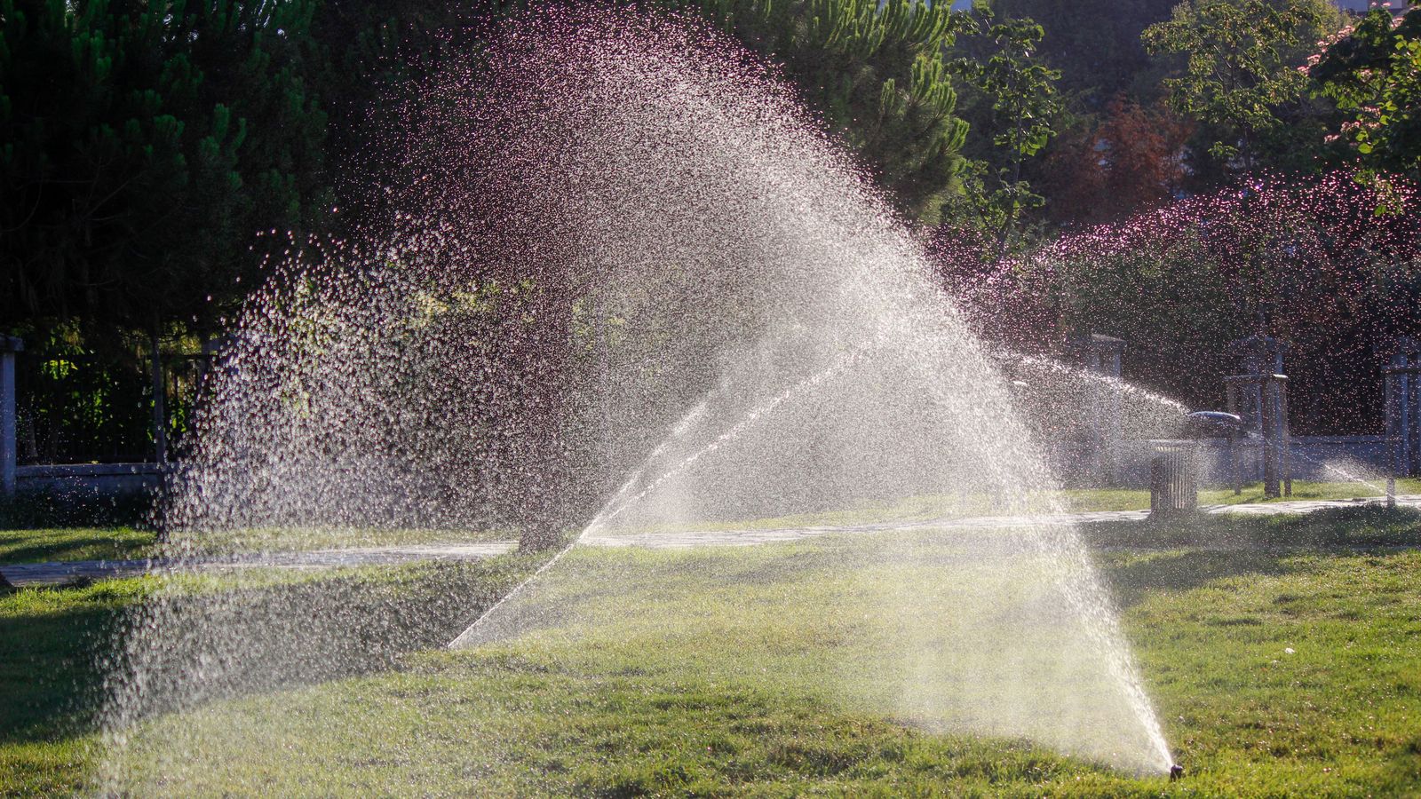 How Often Should You Water Your Lawn in a Minnesota Summer?